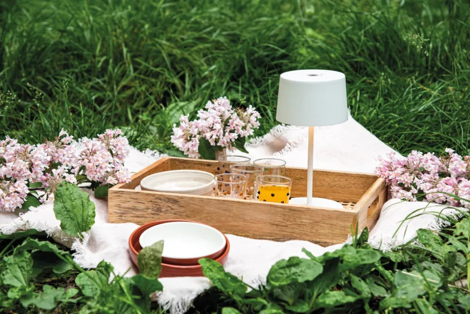 Party Tumbler, Set of 6