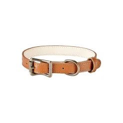 Pebble Grain Leather Dog Collar