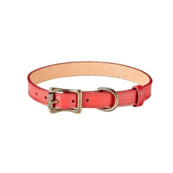 Pebble Grain Leather Dog Collar