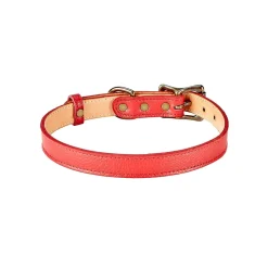 Pebble Grain Leather Dog Collar