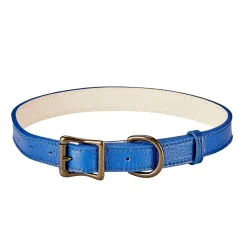 Pebble Grain Leather Dog Collar