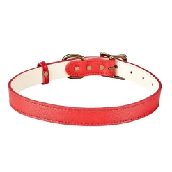 Pebble Grain Leather Dog Collar