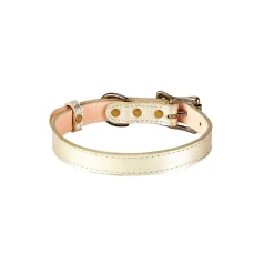 Pebble Grain Leather Dog Collar