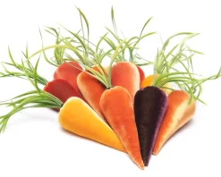 Perfect Platter Spread