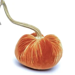 Persimmon Silk Velvet Pumpkin