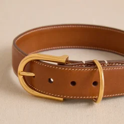 Pet Collar 30 in Vacchetta Luggage