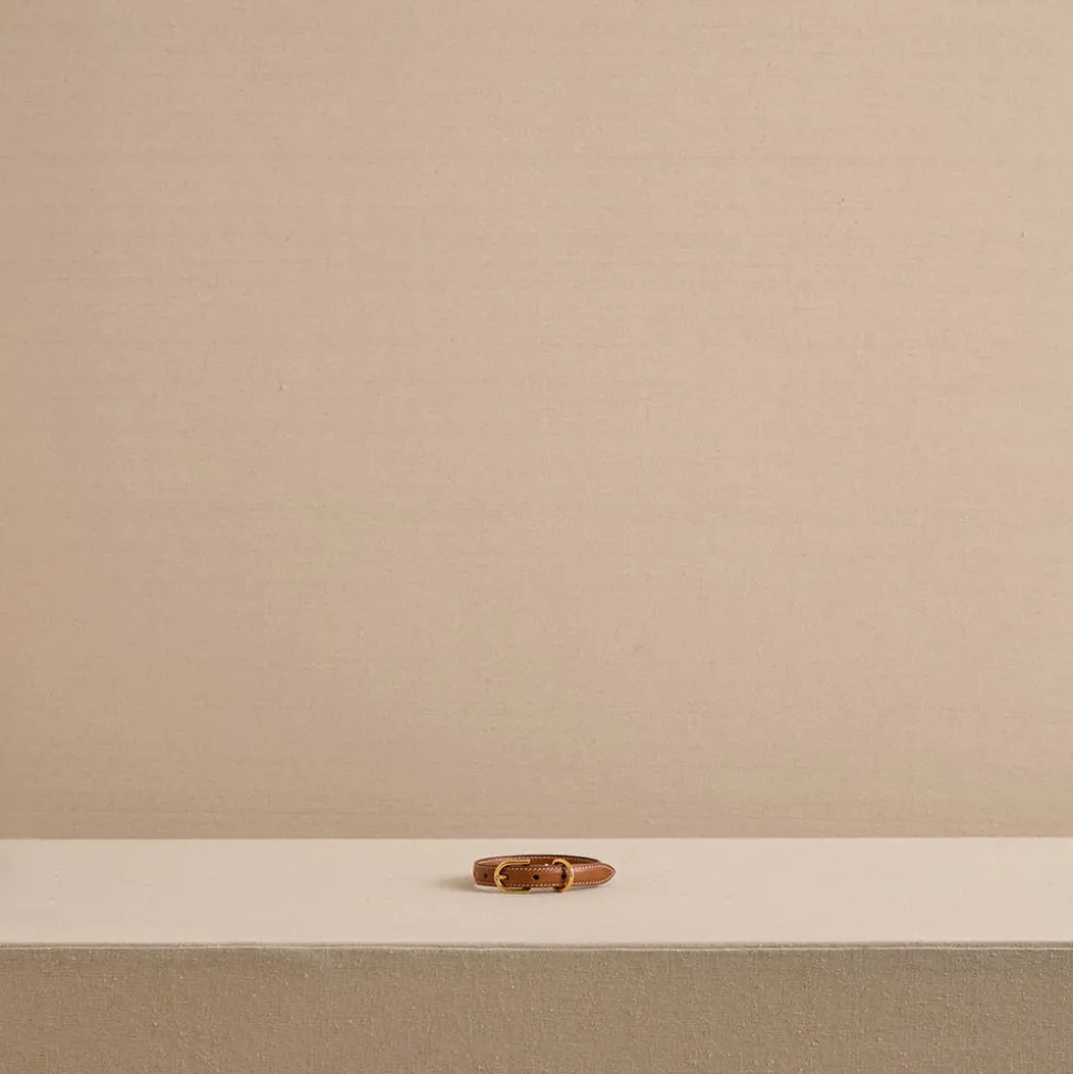 Pet Collar 15 in Vacchetta Luggage