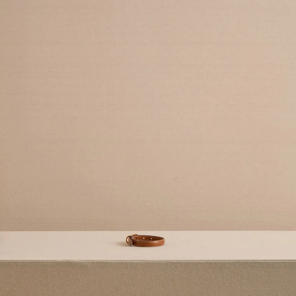 Pet Collar 15 in Vacchetta Luggage