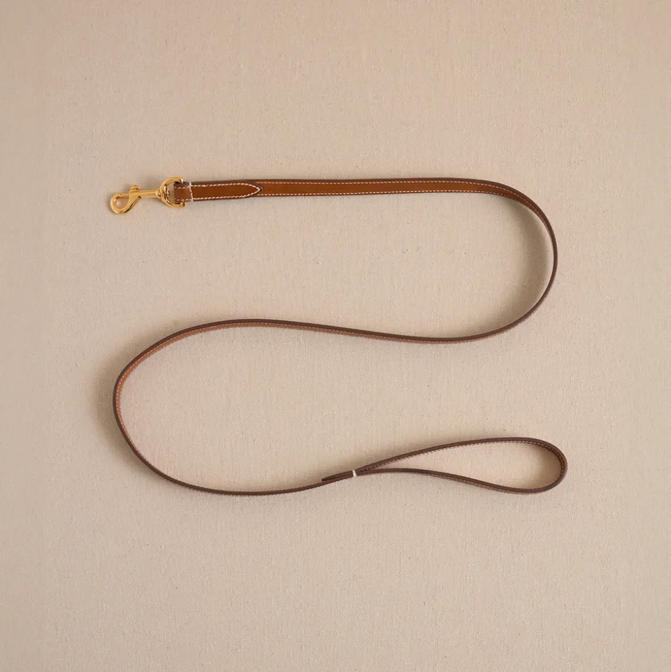 Pet Leash 15 in Vacchetta Luggage