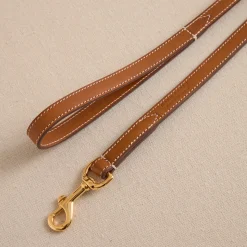 Pet Leash 15 in Vacchetta Luggage