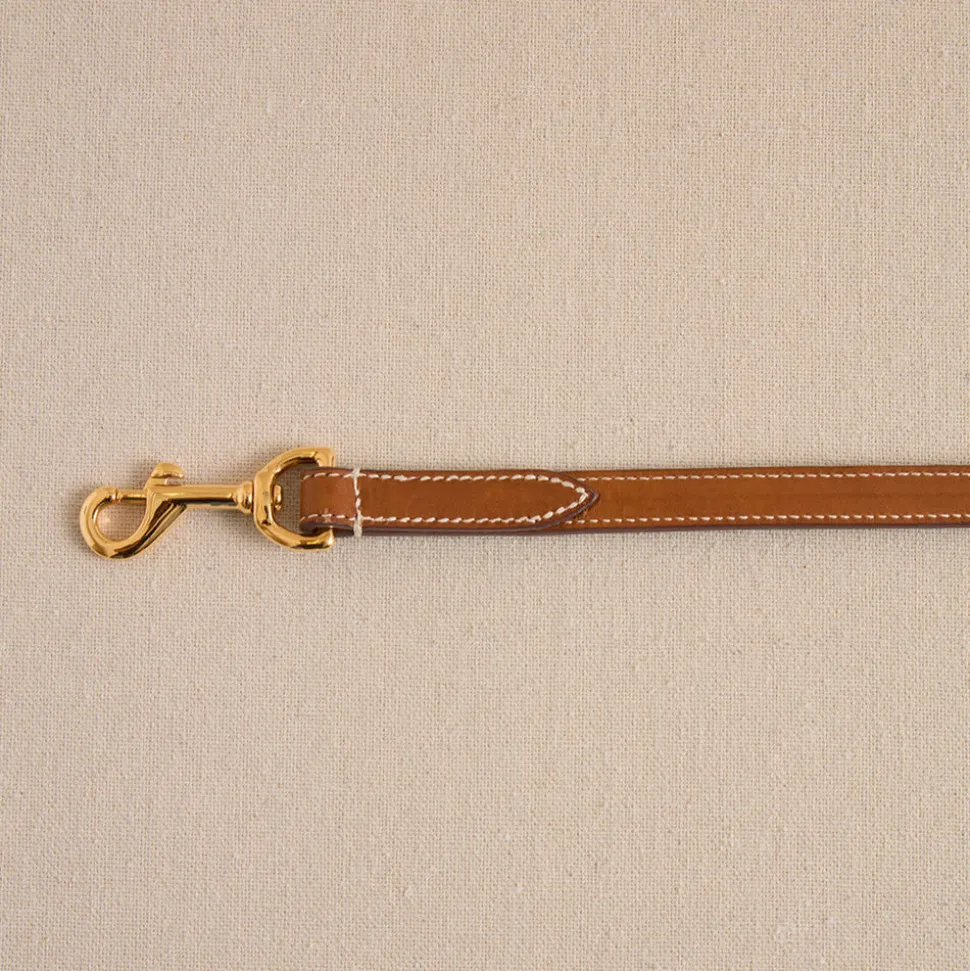 Pet Leash 15 in Vacchetta Luggage