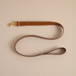 Pet Leash 30 in Vacchetta Luggage