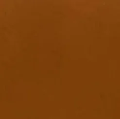 Pet Leash 30 in Vacchetta Luggage