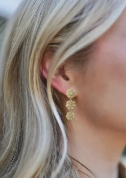 Petite Etoiles Filantes