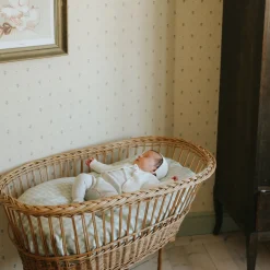 Picnic Gingham Crib Sheet in Green