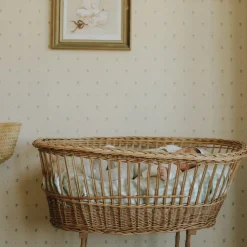 Picnic Gingham Crib Sheet in Green