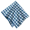 Picnic Napkin in Blueberry, Set of 4