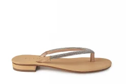 Pogliano in Biscotto