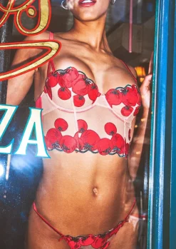 Pomodoro Embroidery Bustier
