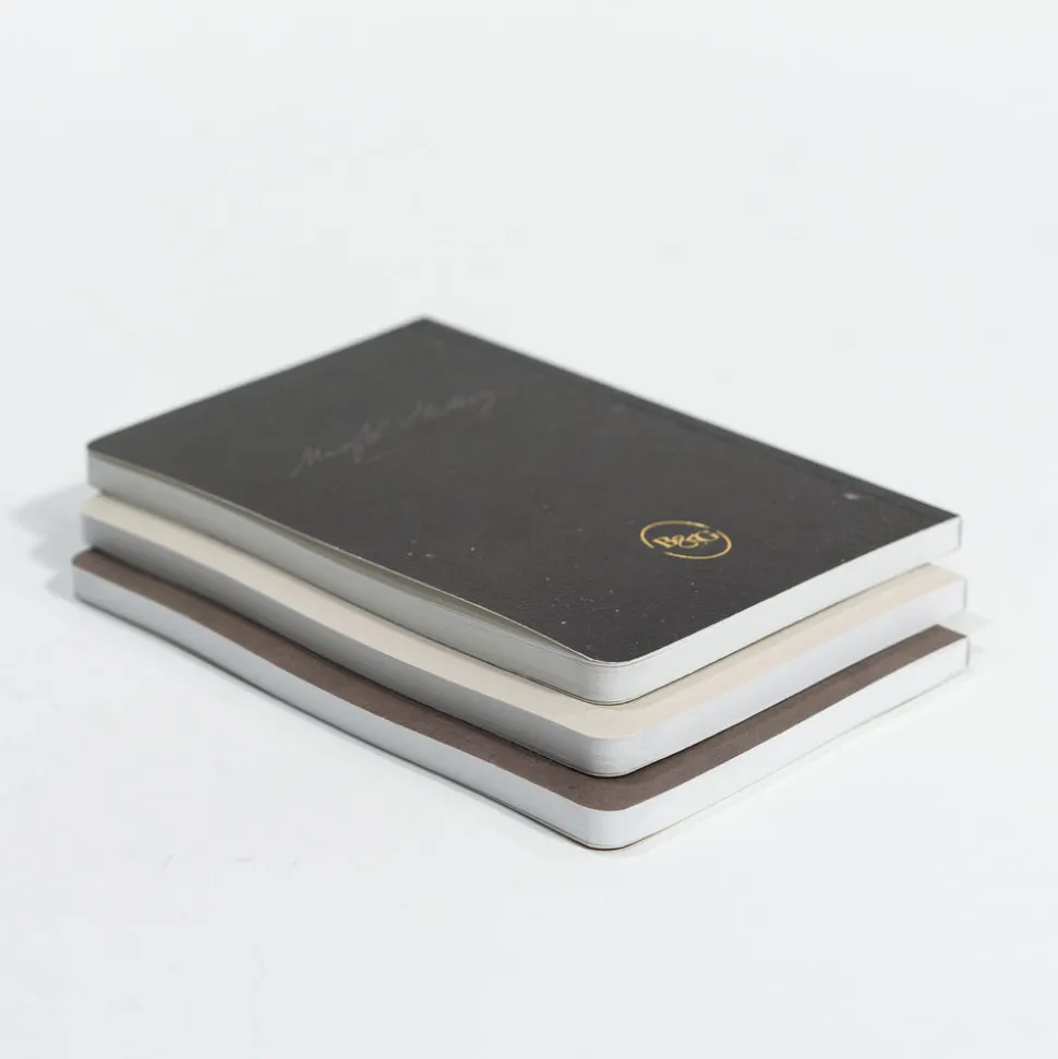 Portraits of Mary Shelley Pocket Journals, Set of 3