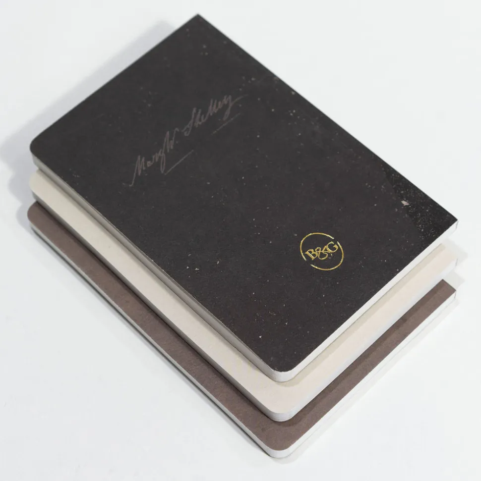 Portraits of Mary Shelley Pocket Journals, Set of 3