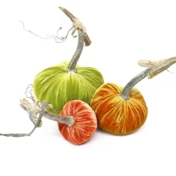 Pumpkin Bundle in Fall Refreshed 017