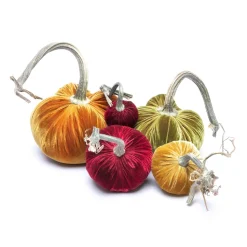 Pumpkin Bundle in Holiday
