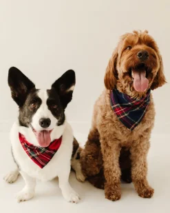 Red Mini Gingham Dog Bandana