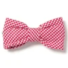 Red Mini Gingham Dog Bow Tie