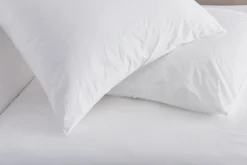 Relaxed Percale Euro Sham, Set of 2