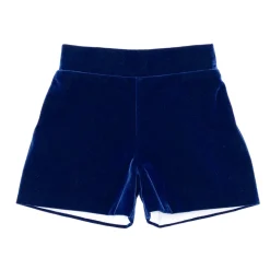 Robert Shorts in Back Bay Blue Velvet