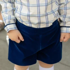 Robert Shorts in Back Bay Blue Velvet