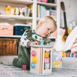 Rolling Activity Sorter