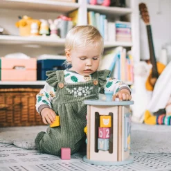 Rolling Activity Sorter