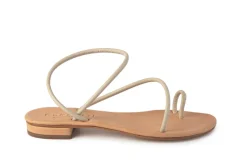 Romelide in Biscotto