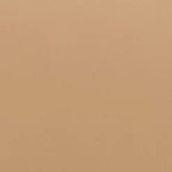 Romy 25 in Box Calf Palmellato Natural