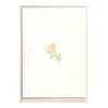 Rose Cards, Set of 5