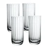 Rose Garden Highball/Tumbler Set in Clear, Set of 4