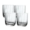 Rose Garden Water/Juice Tumbler Set in Clear, Set of 4