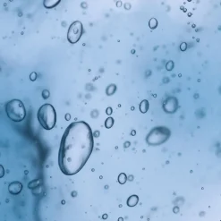 Royal Fern Purifying Mask