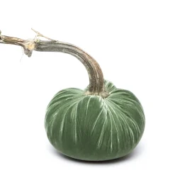 Sage Silk Velvet Pumpkin