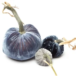 Sapphire Crystal Trio, 019