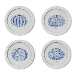 Sea Urchin Framed Prints, Set of 4