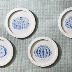 Sea Urchin Framed Prints, Set of 4
