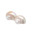 Seashell Napkin Rings, Set of 4