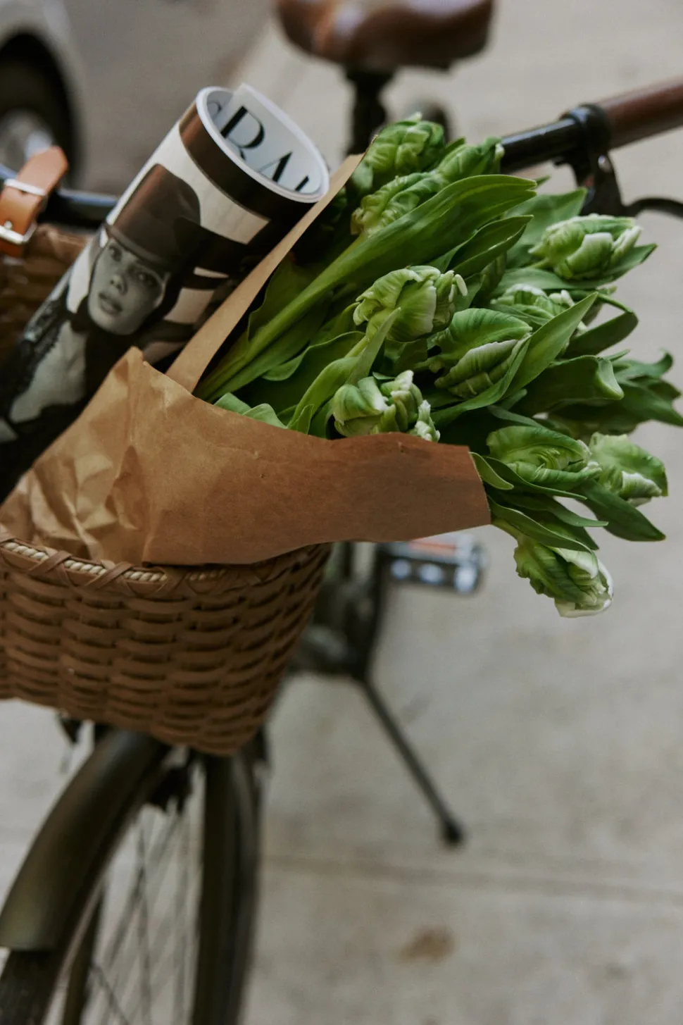Seaside Bicycle Basket