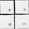Shell Blush Mixed Cocktail Napkin Set