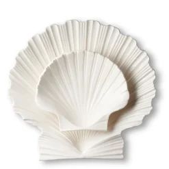 Shell Platter