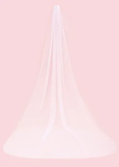 Siena Embellished Wedding Veil