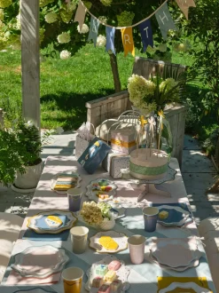 Signature Dinner Plates